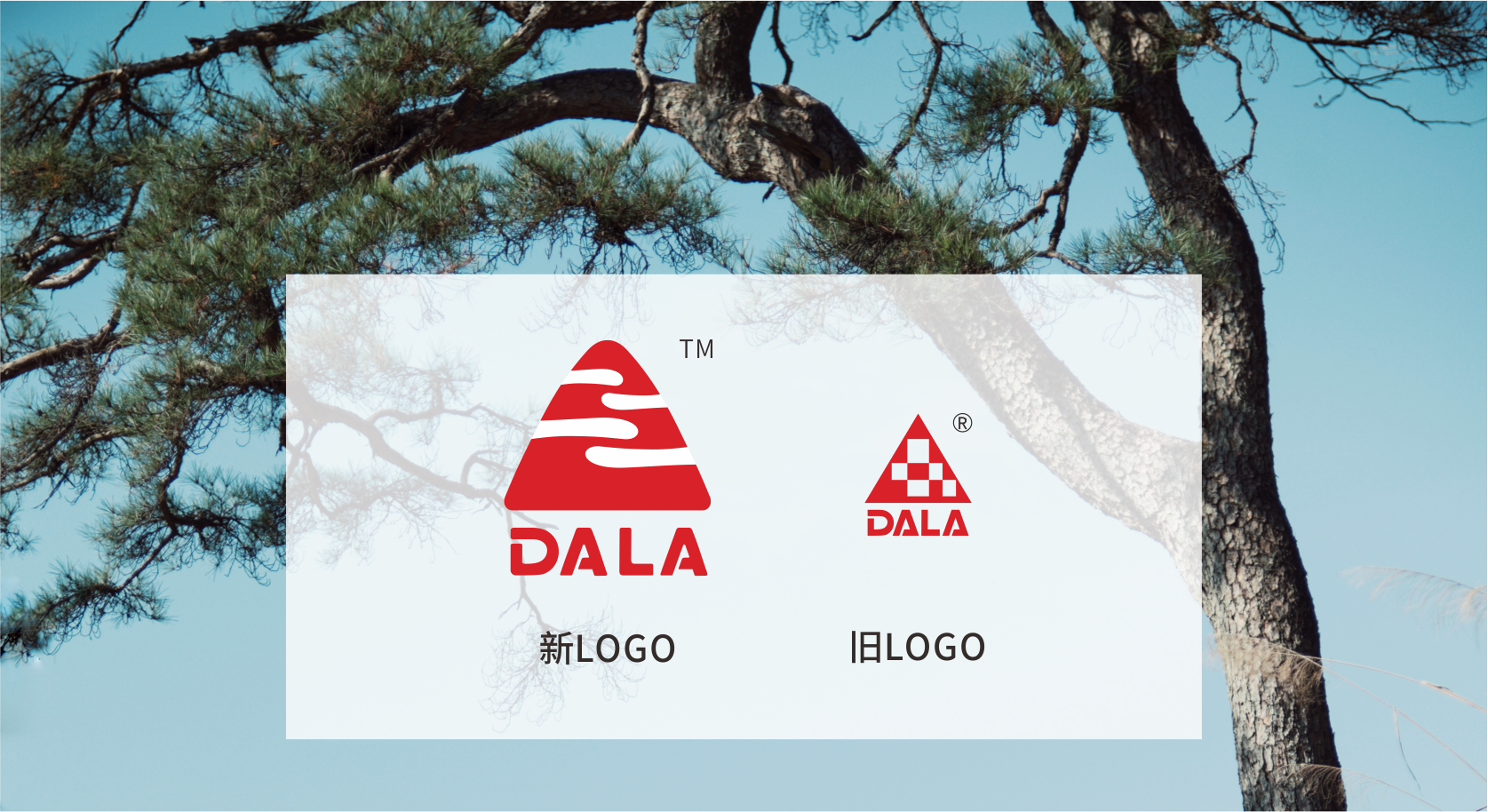 logo对feng